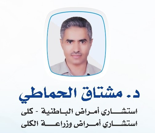 مشتاق الحماطي 